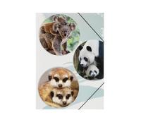 PAGNA 21718-15 Elasticated Folder A3 Polypropylene Cute 3 Flaps