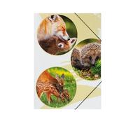 PAGNA 21719-15 Elasticated Folder A3 Polypropylene Native 3 Flaps