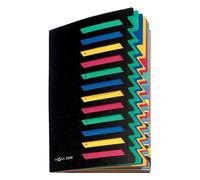 Pagna 24141-04 Desk Organiser 12 Coloured Divider Tabs Flexible Back Cover Print