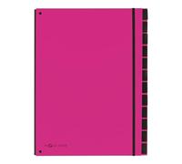 Pagna Desk Organiser 12 Sections Dark Pink
