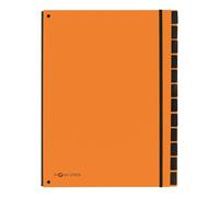 PAGNA Master Organiser 12 Part File with Index Tabs | 8 Pack | A4 Orange