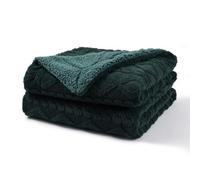 Pagnanno. Pagnanno Sherpa Teddy Fleece Blanket Fluffy Double Layered Bed And Sofa Throw For Families, Couples, Emerald Green, Double