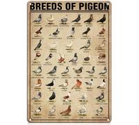 PAIION Breeds of Pigeon Metal Signs Pigeon Education Encyclopedia Knowledge Posters Wall Decor Farm Decor Home Decor Vintage Printinges 8x12 Inch