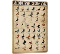 PAIION Breeds of Pigeon Metal Signs Pigeon Education Encyclopedia Knowledge Posters Wall Decor Farm Decor Home Decor Vintage Printinges 8x12 Inch