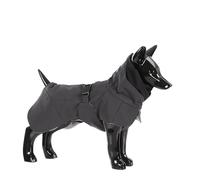 PAIKKA Reflective Winter Jacket for Dogs - Black - Modern - Polyester/TPU/Cotton/Graphen/Elastane - Unisex - All Breed Sizes - All Ages
