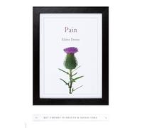 Pain: A Sociological Introduction (Key Themes in Health and Social Care)