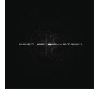 Pain of Salvation – BE – Gatefold Black 2LP + CD – Vinyl – Re-issue 2021