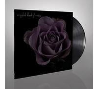 Painful Reminder/Dead Is Dead [VINYL]