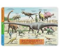 Painless Learning Dinosaurs Placemat