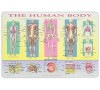 Painless Learning Human Body Placemat