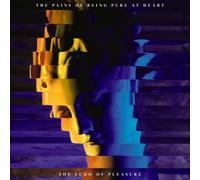ECHO OF PLEASURE THE - PAINS OF BEING PURE AT HEART T