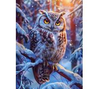 Paint 5D by Numbers for Adults Kits, Owl Snow Day Beginners Kids Without Frame Personalised DIY Color Oil Painting Acrylic Paints, for Boys Girls Kids Gifts, Home Wall Decor Crafts 30x40cm D0SS-621