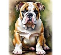 Paint by Number English Bulldog DIY Oil Painting Paint by Number Kit for Adults Beginner Dog DIY Canvas Acrylic Painting by Numbers Painting Arts Craft for Home Decor,40x50cm