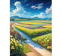 Paint by Number for Adult,Field Sky Path DIY Oil Painting Kits on Canvas for Beginner,with Brushes and Acrylic Pigment,Paint by Numbers Arts and Crafts Kit for Home Decor with Frame,50x65cm