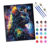 Paint by Number for Adults Beginner Canvas A cat watching the starry sky and the universe Choice for Birthday Anniversary or Any Festival Acrylic Painting Kit for Room Decor 16x20 inch With frame