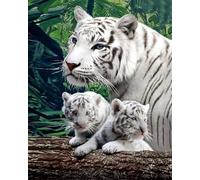 Paint by Number for Adults Beginner,DIY Oil Painting by Number On Canvas Arts and Crafts for Home Wall Decor 20x16 Inch,Animal Deep Forest White Tiger Motherly Love,Frameless