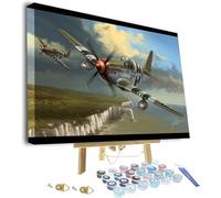 Paint by Number for Adults Beginner Fighter War Airplane Framed and Easel Paint by Numbers for Adults Beginner, DIY Painting by Numbers for Gift Home Wall Decor