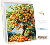 Paint by Number for Adults with Frame,Fruit Painting by Numbers Kits for Children Beginners, Paint by Number Adults Kits on Canvas,Plants Oil Painting Crafts Kit, for Home Wall Decor 20x28inch -46953