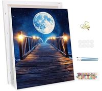 Paint by Number for Adults with Frame,The Moon Painting by Numbers Kits for Children Beginners, Paint by Number Adults Kits on Canvas,Landscape Oil Painting Kit, Home Wall Decor 20x28inch -46799