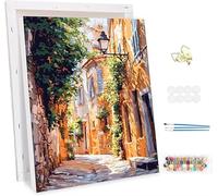 Paint by Number for Adults with Frame,The Streets Painting by Numbers Kits for Children Beginners, Paint by Number Adults Kits on Canvas,Landscape Oil Painting Kit, Home Wall Decor 16x20inch -47621