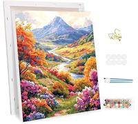 Paint by Number for Adults with Frame,The Valley Painting by Numbers Kits for Children Beginners, Paint by Number Adults Kits on Canvas,Landscape Oil Painting Kit, Home Wall Decor 24x32inch -46739