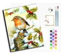 Paint by Number Kit for Adults Beginner,DIY Acrylic Hand Oil Paintin Kits on Canvas Art Crafts for Home，16 x20 inch，Snowflake Sparrow,with Frame