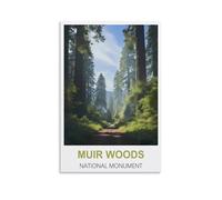 Paint by Number Kits for Adults Beginners,Muir Woods National Monuments,Beginner, DIY Canvas Painting Gift Kits for Home Decoration 30x40cm