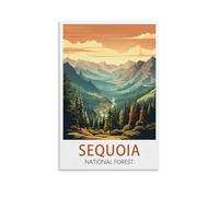 Paint by Number Kits for Adults Beginners,Sequoia National Parks Posters Beginner, DIY Canvas Painting Gift Kits for Home Decoration 30x40cm