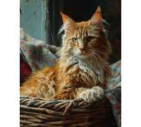 Paint by Number, Maine Coon cat in a Basket, Adult Crafts Adults' Paint-by-Number Kits, Room Decor Gift for Birthday Festival (16x20 inch,No Frame)