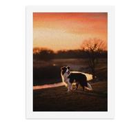 Paint by Numbers A Border Collie Stands in The Sunset Digital Painting Kit for Adults Create Your Own Magical Scene Art Supplies Unframed 40x50CM
