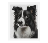 Paint by Numbers A Charming Black and White Border Collie. Digital Painting Kit for Adults 40x50CM