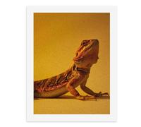 Paint by Numbers A Colorful Bearded Dragon in Warm Lighting Adult Digital Painting Artwork for Wall Decor Unique Home Modern Abstract Print Unframed 40x50CM