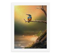 Paint by Numbers A Colorful Kingfisher Perched on A Branch by The Water Digital Painting Kit for Adults Create Your Own Magical Scene Art Supplies Unframed 40x50CM