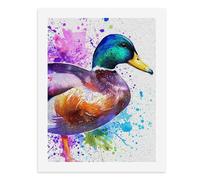 Paint by Numbers A Colorful Mallard Duck Digital Painting Kit for Adults Create Your Own Magical Scene Art Supplies Unframed 40x50CM