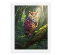 Paint by Numbers A Colorful Owl Perched on A Tree Branch in A Forest Digital Painting Kit for Adults Create Your Own Magical Scene Art Supplies Unframed 40x50CM