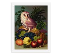 Paint by Numbers A Colorful Still Life with an Owl Digital Painting Kit for Adults Create Your Own Magical Scene Art Supplies Unframed 40x50CM