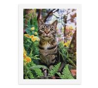 Paint by Numbers A Curious Tabby Cat Amidst Vibrant Flowers Digital Painting Kit for Adults Create Your Own Magical Scene Art Supplies Unframed 40x50CM