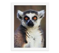 Paint by Numbers A Cute Lemur with Striking Orange Eyes Digital Painting Kit for Adults Create Your Own Magical Scene Art Supplies Unframed 40x50CM