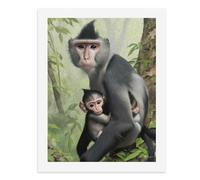 Paint by Numbers A Cute Monkey with Its Baby in The Forest Digital Painting Kit for Adults Create Your Own Magical Scene Art Supplies Unframed 40x50CM
