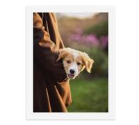 Paint by Numbers A Cute Puppy Peeking Out of Someone's Coat Digital Painting Kit for Adults Create Your Own Magical Scene Art Supplies Unframed 40x50CM