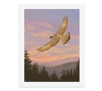 Paint by Numbers A Falcon Soaring Over The Forest Under A Colorful Sky Digital Painting Kit for Adults Create Your Own Magical Scene Art Supplies Unframed 40x50CM