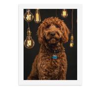 Paint by Numbers A Fluffy Brown Dog with Hanging Light Bulbs in The Background Digital Painting Kit for Adults Create Your Own Magical Scene Art Supplies Unframed 40x50CM