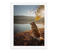 Paint by Numbers A Golden Retriever by The Lake Digital Painting Kit for Adults Create Your Own Magical Scene Art Supplies Unframed 40x50CM