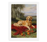 Paint by Numbers A Golden Retriever Lying on A Red Blanket with Fruits Beside It Digital Painting Kit for Adults Create Your Own Magical Scene Art Supplies Unframed 40x50CM