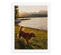 Paint by Numbers A Golden Retriever Walking on Grass by The Lake Digital Painting Kit for Adults Create Your Own Magical Scene Art Supplies Unframed 40x50CM