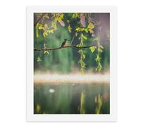 Paint by Numbers A Kingfisher Sits on A Branch by The Water Digital Painting Kit for Adults Create Your Own Magical Scene Art Supplies Unframed 40x50CM