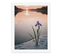 Paint by Numbers A Purple Iris Flower Grows on A Sandy Shore As The Sun Sets Over A Calm Lake Digital Painting Kit for Adults Create Your Own Magical Scene Art Supplies Unframed 40x50CM
