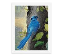 Paint by Numbers A Vibrant Blue Bird Perches by The Tree Trunk Digital Painting Kit for Adults Create Your Own Magical Scene Art Supplies Unframed 40x50CM
