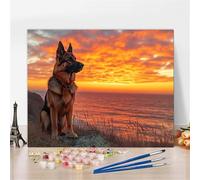 Paint by Numbers Adults Dog Paint by Numbers Kits Sunset DIY Color Oil Painting Acrylic Paints with 3 - Brushes Without Frame, Paint-by-Numbers for Wall Decor, Christmas Decorations 70X70cm Y5-653