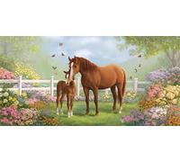 Paint by Numbers Adults Horse Painting by Numbers for Adults Farm 12x20inch,DIY Color Oil Paintings Beginners Kit mit 3 Paintbrushes and Acrylic Paints,Home Room Wall Decor Gifts,Without Frame-fu119u